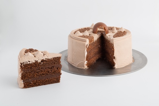 [PA10BCH] PAST 10P FAM MX CHOCO LITE