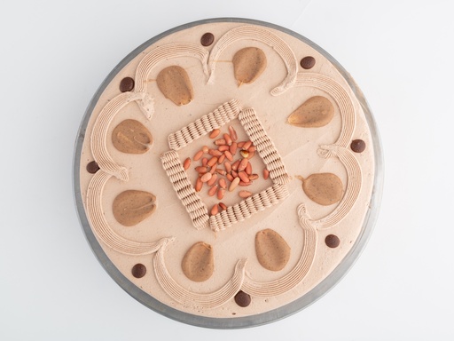 [PA15NSA] PAST 15P NAV 3L SACHER CON PIÑON